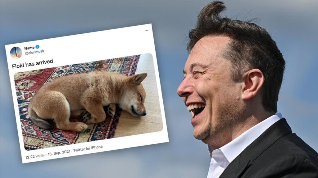 floki-musk-token-floki-coin-buy-sell