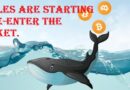 crypto-whale-returns-wallets-altcoins-when-to-exchange